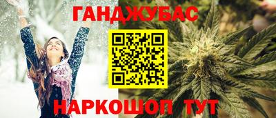 гидра Долгопрудный
