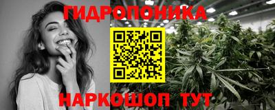 гидра Долгопрудный