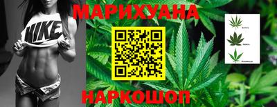 гидра Долгопрудный