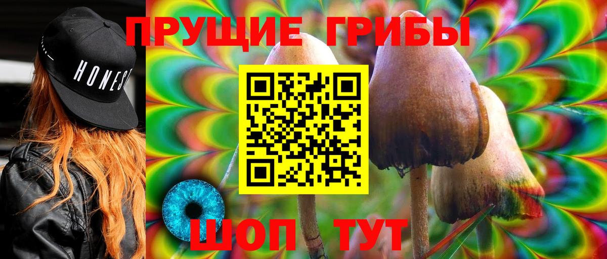 Новосибирск  Псилоцибиновые грибы ЛСД  Вход с VPN 