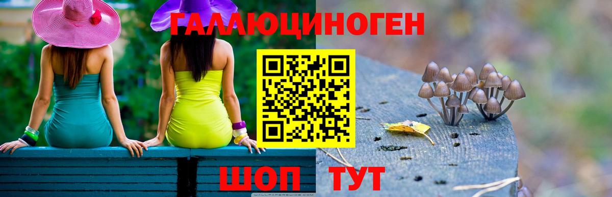 Псилоцибиновые грибы прущие грибы Новосибирск
